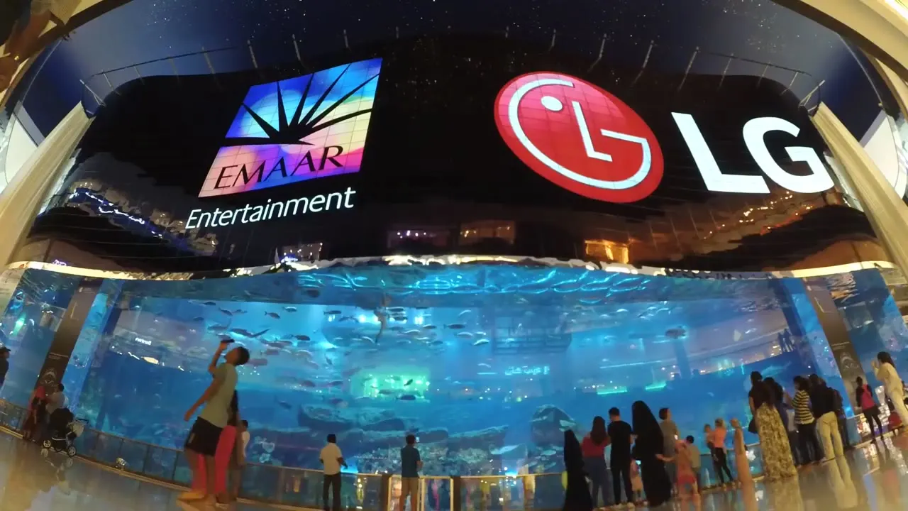 The Dubai Mall OLED wall above the aquarium
